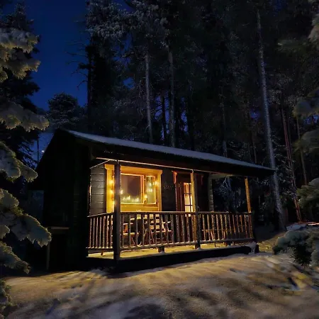 Blue Moment At The Arctic Circle- Forest, Beach, Activities