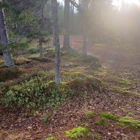 木屋 Blue Moment At The Arctic Circle- Forest, Beach, Activities *