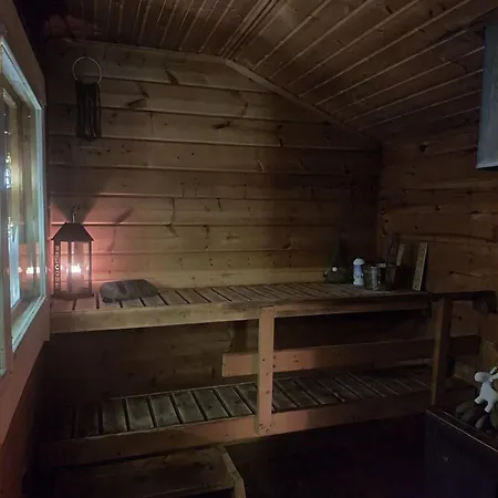 Blue Moment At The Arctic Circle- Forest, Beach, Activities Chalet *