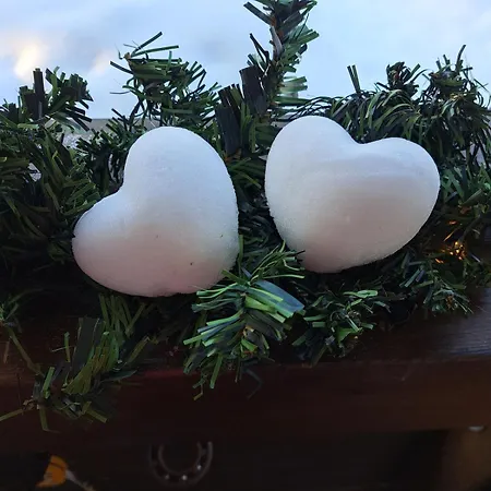 Dağ evi Blue Moment At The Arctic Circle- Forest, Beach, Activities Meltosjärvi