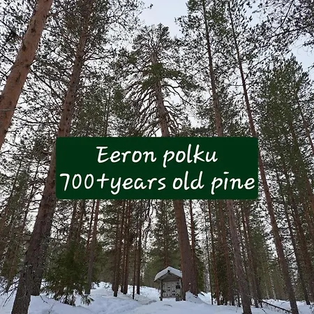 Blue Moment At The Arctic Circle- Forest, Beach, Activities Dağ evi