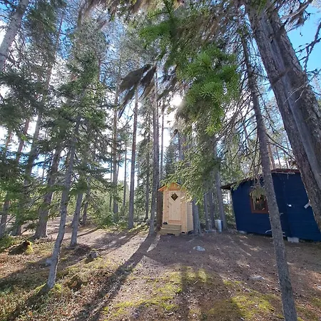 Blue Moment At The Arctic Circle- Forest, Beach, Activities 木屋 *