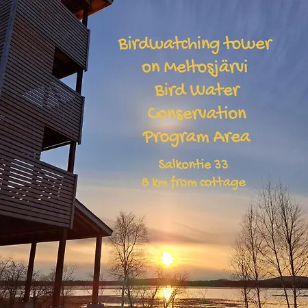 Blue Moment At The Arctic Circle- Forest, Beach, Activities Chalet