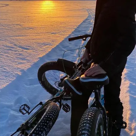 Blue Moment At The Arctic Circle- Forest, Beach, Activities