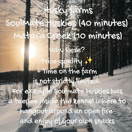 Blue Moment At The Arctic Circle- Forest, Beach, Activities Chalet *