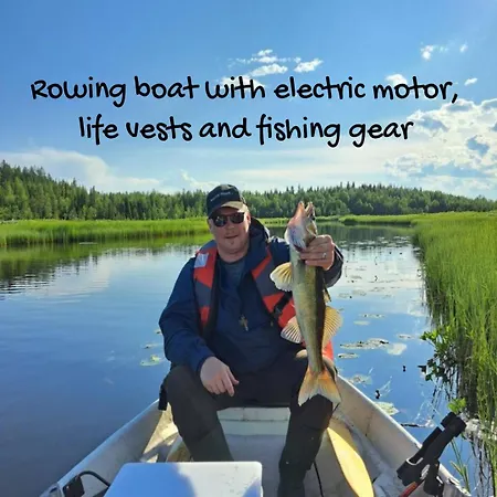 Blue Moment At The Arctic Circle- Forest, Beach, Activities