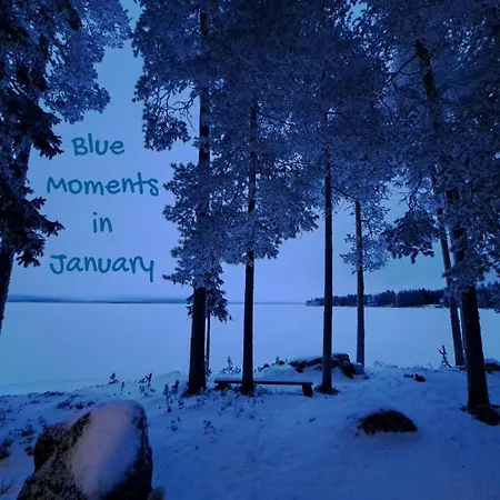 Blue Moment At The Arctic Circle- Forest, Beach, Activities 木屋 *