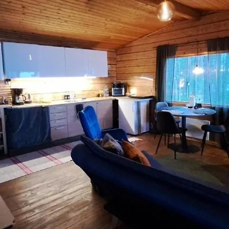 Blue Moment At The Arctic Circle- Forest, Beach, Activities Meltosjärvi