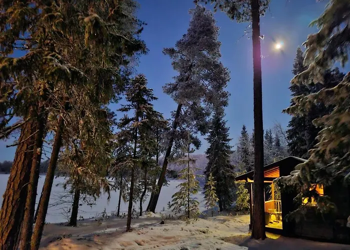 Blue Moment At The Arctic Circle- Forest, Beach, Activities Chalet Meltosjärvi