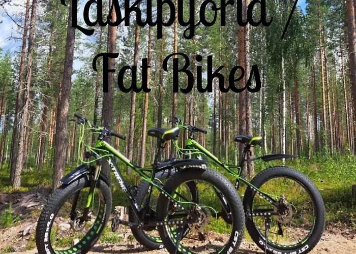 Blue Moment At The Arctic Circle- Forest, Beach, Activities Chalet Meltosjärvi