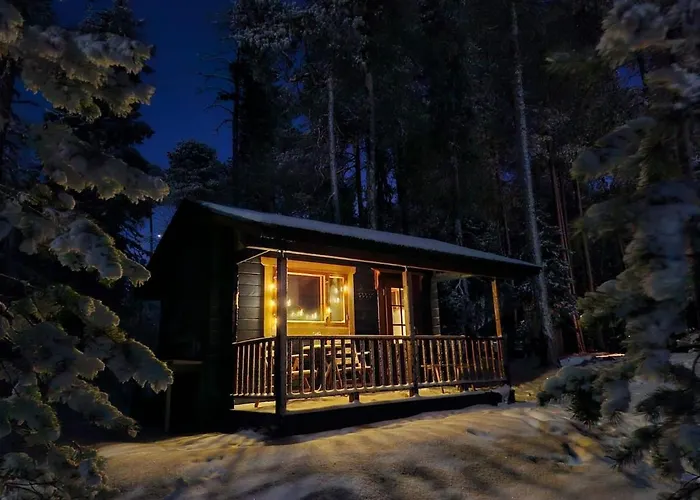 Blue Moment At The Arctic Circle- Forest, Beach, Activities