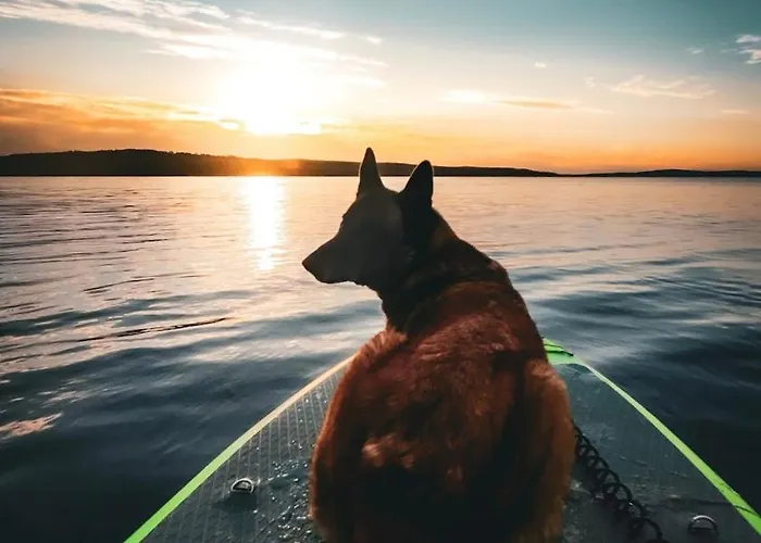 Chalet Blue Moment At The Arctic Circle- Forest, Beach, Activities *