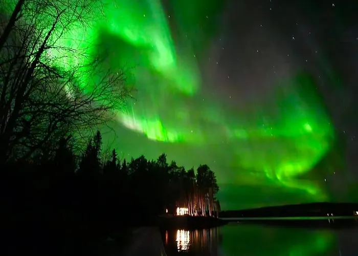 Blue Moment At The Arctic Circle- Forest, Beach, Activities