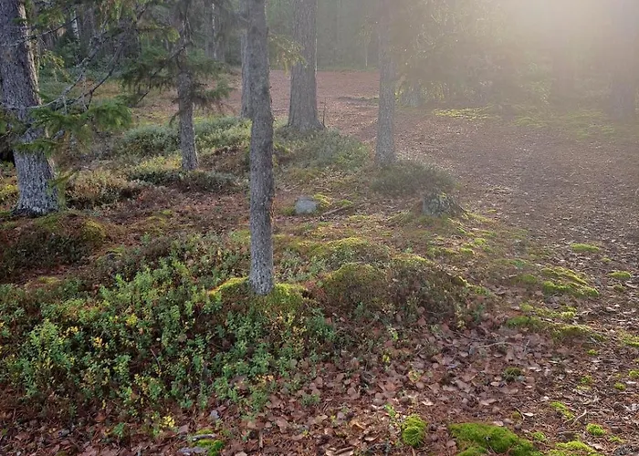 Chalet Blue Moment At The Arctic Circle- Forest, Beach, Activities *