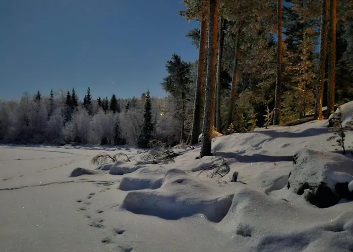 Chalet Blue Moment At The Arctic Circle- Forest, Beach, Activities *