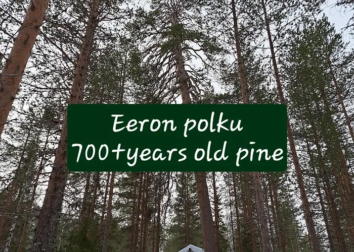 Blue Moment At The Arctic Circle- Forest, Beach, Activities Chalet