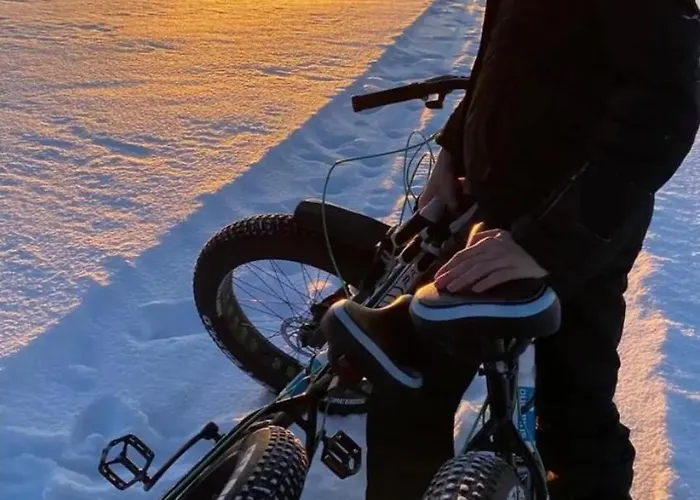 Blue Moment At The Arctic Circle- Forest, Beach, Activities