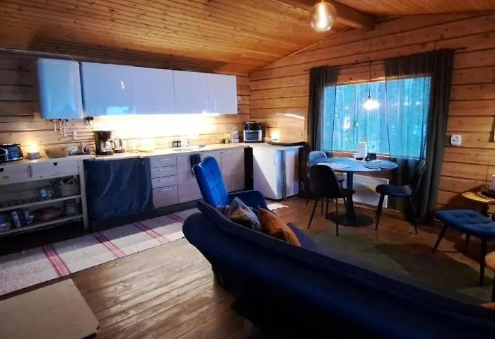 Blue Moment At The Arctic Circle- Forest, Beach, Activities Meltosjärvi